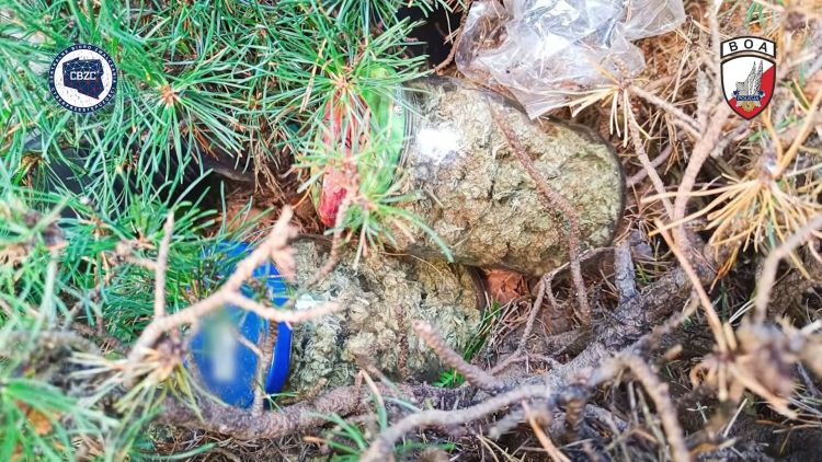 CBZC zatrzymało sześć osób na Podkarpaciu. Zabezpieczono 66 kg narkotyków 1 - Polskie Radio Rzeszów CBZC zatrzymało sześć osób na Podkarpaciu. Zabezpieczono 66 kg narkotyków