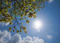 Nawet 36°C na&nbsp;Podkarpaciu. Wydano ostrzeżenie II&nbsp;stopnia