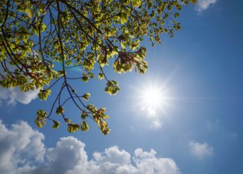 Nawet 36°C na&nbsp;Podkarpaciu. Wydano ostrzeżenie II&nbsp;stopnia