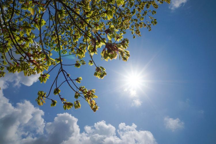Nawet 36°C na&nbsp;Podkarpaciu. Wydano ostrzeżenie II&nbsp;stopnia