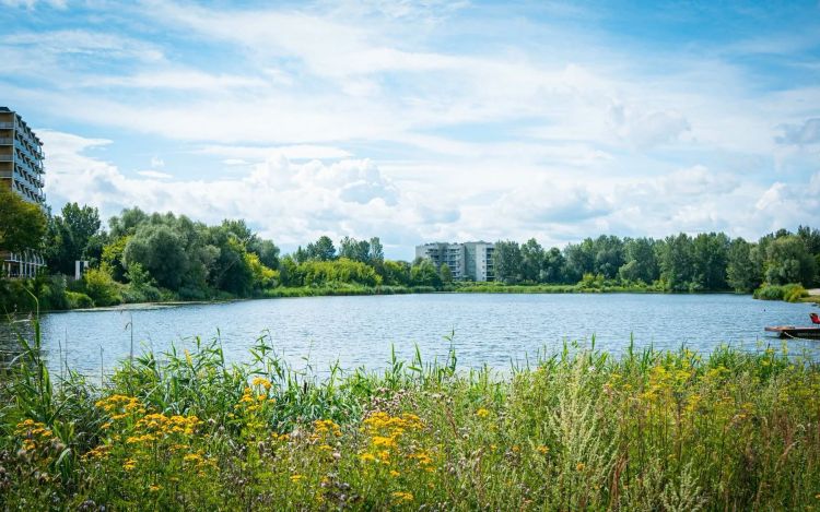 Radio Biwak odwiedzi Krosno – królewskie miasto z bogatą przeszłością 1 - Polskie Radio Rzeszów Radio Biwak odwiedzi Krosno – królewskie miasto z bogatą przeszłością