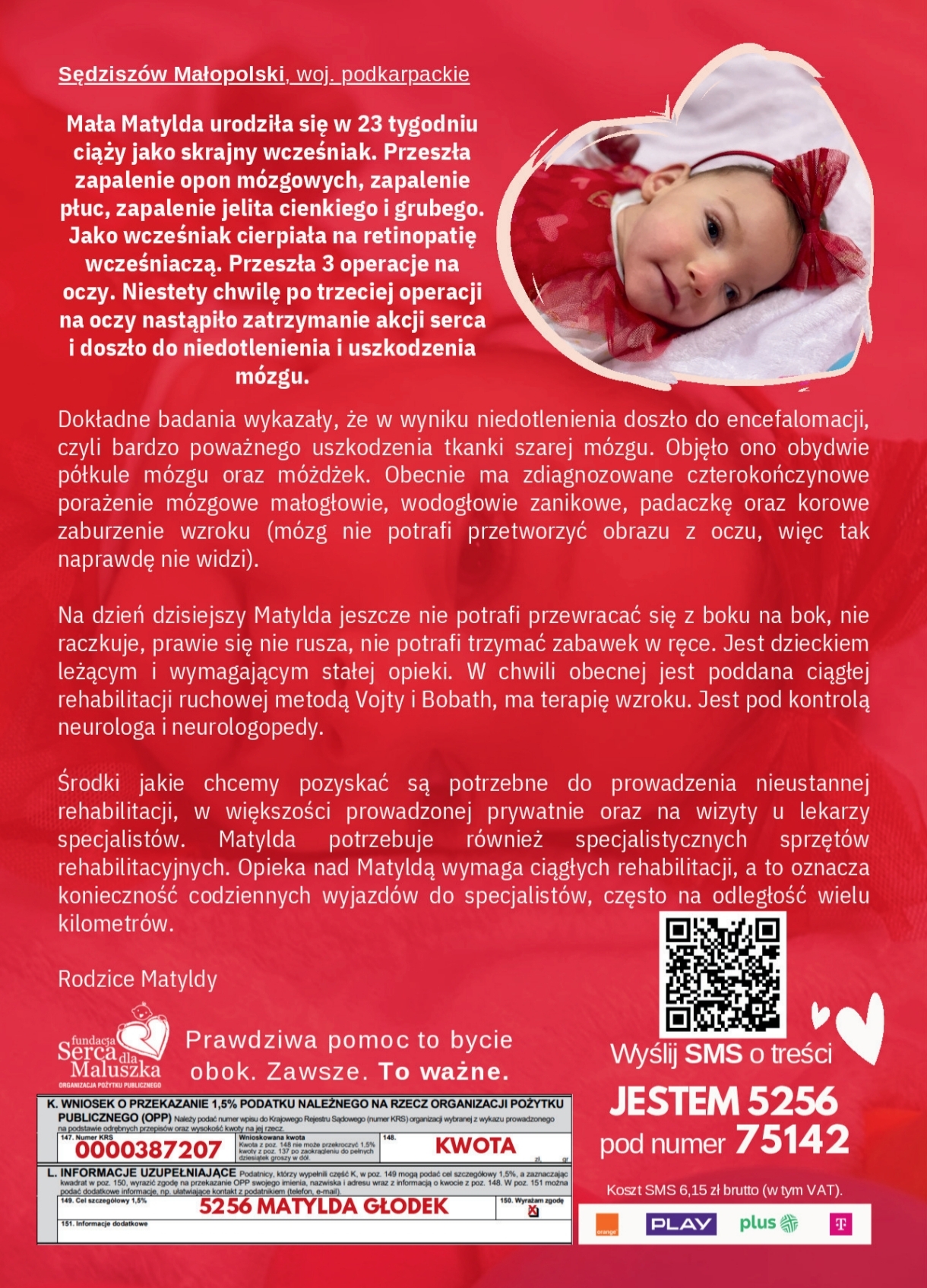 IV Charytatywny Piknik Militarny IPA - „Służby mundurowe dla społeczeństwa – razem możemy więcej” - Polskie Radio Rzeszów