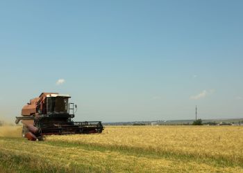 Stefan Krajewski o&nbsp;sytuacji polskiego rolnictwa. Trudne żniwa i&nbsp;problemy hodowców