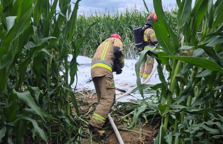 Awaryjne lądowanie awionetki w&nbsp;Straszęcinie. Maszyna stanęła w&nbsp;ogniu [AKTUALIZACJA]