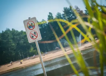 Kąpielisko nad Zalewem Floryda w Leżajsku już otwarte 2 - Polskie Radio Rzeszów Kąpielisko nad Zalewem Floryda w Leżajsku już otwarte