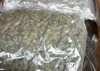 Ponad 8 kg marihuany zabezpieczone w Przemyślu. Dwóch mężczyzn usłyszało zarzuty 2 - Polskie Radio Rzeszów Ponad 8 kg marihuany zabezpieczone w Przemyślu. Dwóch mężczyzn usłyszało zarzuty