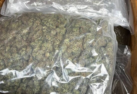 Ponad 8 kg marihuany zabezpieczone w&nbsp;Przemyślu. Dwóch mężczyzn usłyszało zarzuty