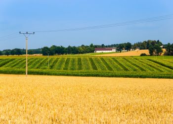 Niezidentyfikowany obiekt spadł na pole na Lubelszczyźnie. Służby zabezpieczają lej i szczątki 2 - Polskie Radio Rzeszów Niezidentyfikowany obiekt spadł na pole na Lubelszczyźnie. Służby zabezpieczają lej i szczątki