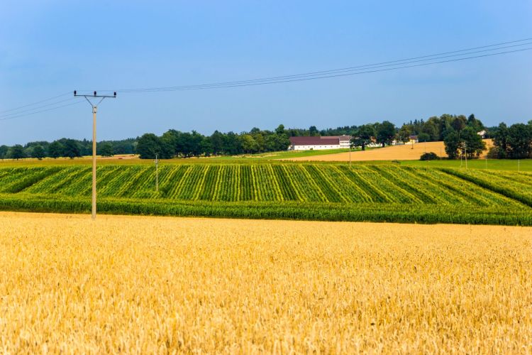 Obcy obiekt spadł na&nbsp;pole blisko Podkarpacia. Służby zabezpieczają lej i&nbsp;szczątki na&nbsp;Lubelszczyźnie