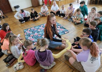 Węże, jaszczurka i&nbsp;żółw w&nbsp;domu kultury. Wakacyjne spotkanie z&nbsp;gadami