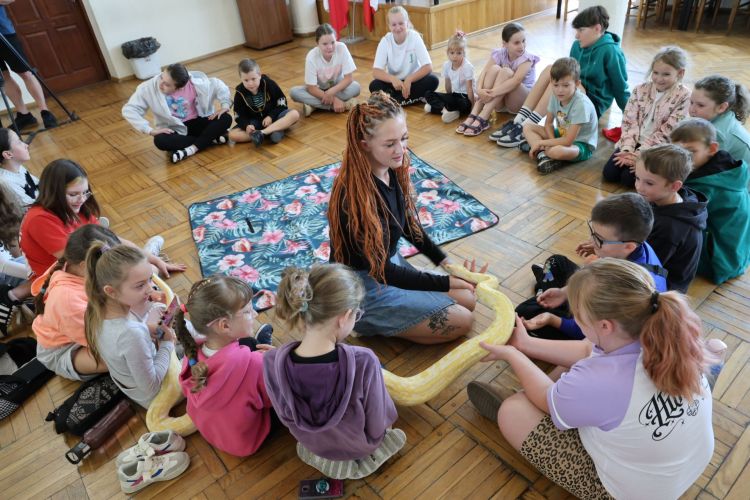 Węże, jaszczurka i&nbsp;żółw w&nbsp;domu kultury. Wakacyjne spotkanie z&nbsp;gadami