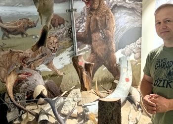 „Lato w Mieście” dobiega końca. Natura i edukacja w Tarnobrzegu 2 - Polskie Radio Rzeszów „Lato w Mieście” dobiega końca. Natura i edukacja w Tarnobrzegu