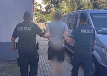 30-latek podpalał kontenery w&nbsp;Nowej Dębie, trafił do&nbsp;aresztu