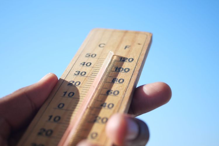 Chłodna noc i&nbsp;mgły w&nbsp;kraju. Na&nbsp;Podkarpaciu temperatura spadnie do&nbsp;6 st. C