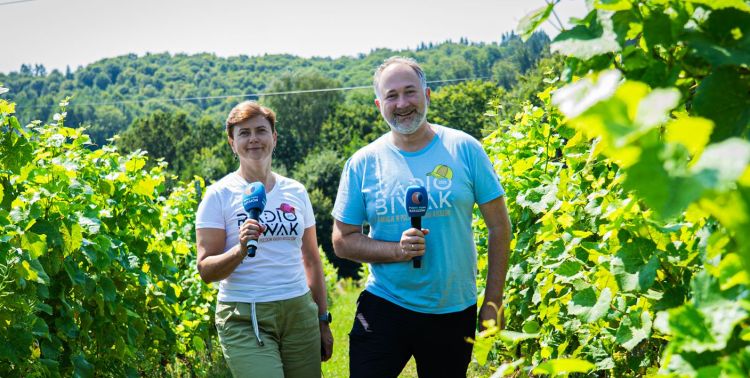 Ser, wino i kultura regionu: Radio Biwak z Winnicy Sztukówka w Gliniku Średnim, w gminie Frysztak 1 - Polskie Radio Rzeszów Ser, wino i kultura regionu: Radio Biwak z Winnicy Sztukówka w Gliniku Średnim, w gminie Frysztak