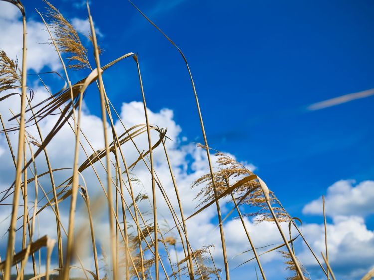 Meteorolodzy ostrzegają przed silnym wiatrem na południu Podkarpacia 1 - Polskie Radio Rzeszów Meteorolodzy ostrzegają przed silnym wiatrem na południu Podkarpacia