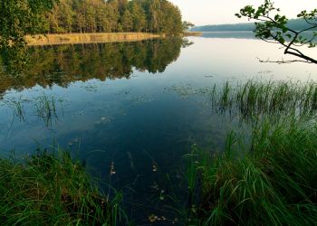 Obronne siły natury – Jezioro Bernardyńskie