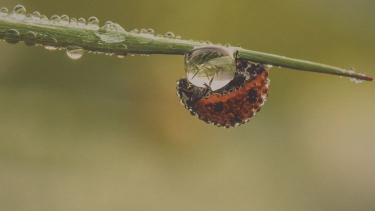 Powiatowy konkurs fotograficzny „Nieznane choć bliskie”. Trwają zgłoszenia