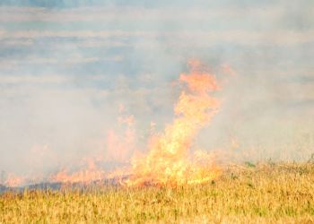 Rozległy pożar ścierniska w&nbsp;Moderówce. W&nbsp;akcji 7 zastępów straży