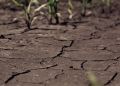 Upały pogłębiają suszę hydrologiczną. RZGW apeluje do mieszkańców Podkarpacia 5 - Polskie Radio Rzeszów Upały pogłębiają suszę hydrologiczną. RZGW apeluje do mieszkańców Podkarpacia