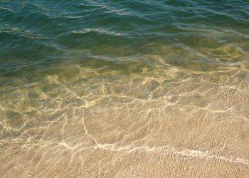 Zamknięto popularną plażę nad&nbsp;Balatonem. Zakaz kąpieli po&nbsp;kontroli jakości wody