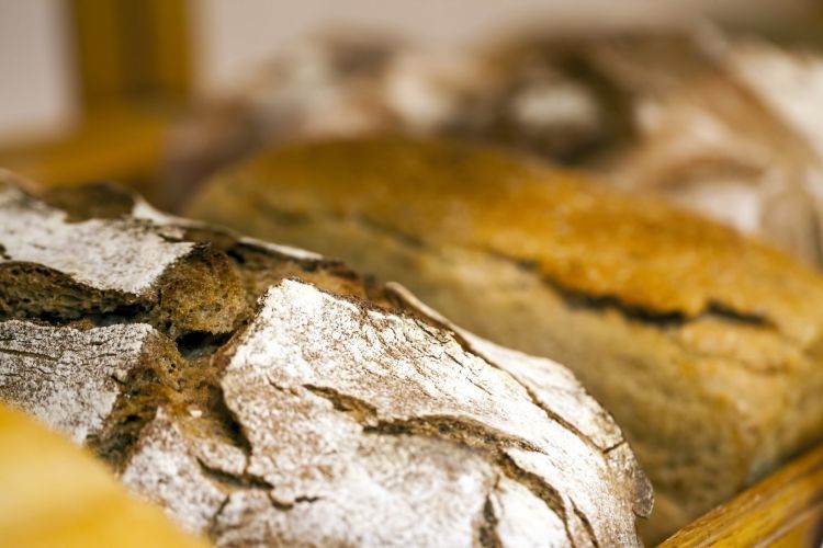 Zlot „Klamot” i Powiatowe Święto Chleba. Niedziela pełna atrakcji na Podkarpaciu 1 - Polskie Radio Rzeszów Zlot „Klamot” i Powiatowe Święto Chleba. Niedziela pełna atrakcji na Podkarpaciu