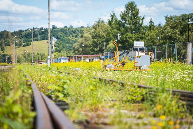 Fotozagadka: Co widzisz na zdjęciu? Sprawdź, co w dzisiejszym Radiu Biwak 1 - Polskie Radio Rzeszów Fotozagadka: Co widzisz na zdjęciu? Sprawdź, co w dzisiejszym Radiu Biwak