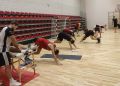 Intensywne przygotowania do&nbsp;sezonu koszykarzy Opteam Hoog Resovii