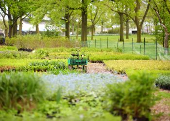 Działkowcy na Podkarpaciu bez dodatkowych opłat. Problem jest w innych regionach 2 - Polskie Radio Rzeszów Działkowcy na Podkarpaciu bez dodatkowych opłat. Problem jest w innych regionach