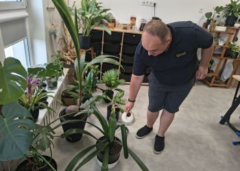 Duże zainteresowanie Warsztatem Terapii Zajęciowej w&nbsp;Dębicy
