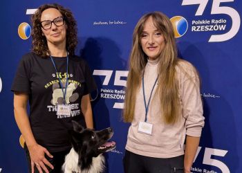 Jak pies odnajduje człowieka? Mantrailing i&nbsp;poszukiwania zaginionych