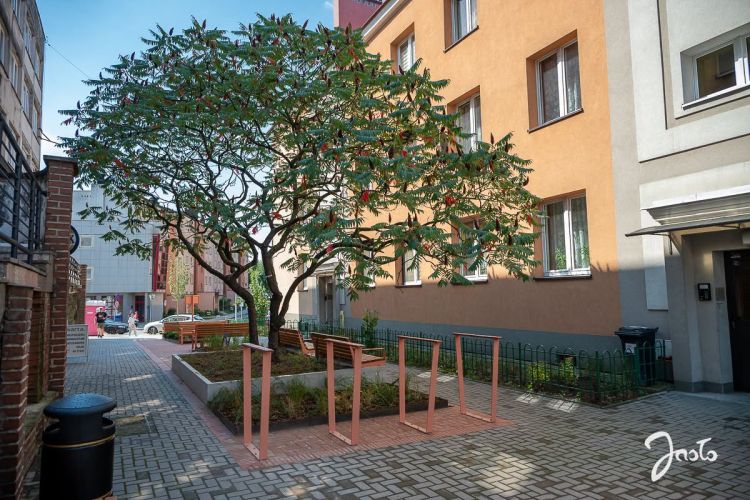 Więcej zieleni zamiast betonu. Zakończyła się przebudowa pasaży w&nbsp;Jaśle