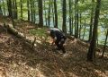 O&nbsp;krok od&nbsp;tragedii nad&nbsp;Jeziorem Solińskim. Turystka zawisła nad&nbsp;urwiskiem