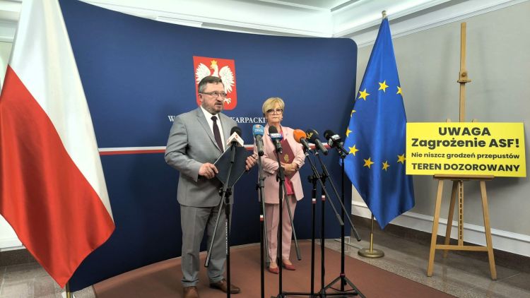 W&nbsp;podrzeszowskiej gminie Trzebownisko wykryto ognisko Afrykańskiego Pomoru Świń