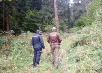 „Jesień 26” w&nbsp;Bieszczadach. Policja i&nbsp;Straż Leśna patrolują lasy