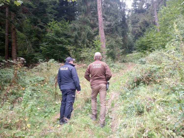 „Jesień 26” w Bieszczadach. Policja i Straż Leśna patrolują lasy 1 - Polskie Radio Rzeszów „Jesień 26” w Bieszczadach. Policja i Straż Leśna patrolują lasy