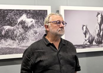 „Krótkie historie o koniach” w Rzeszowie. Fotografie Ignacego50 w Galerii Nierzeczywistej 2 - Polskie Radio Rzeszów „Krótkie historie o koniach” w Rzeszowie. Fotografie Ignacego50 w Galerii Nierzeczywistej