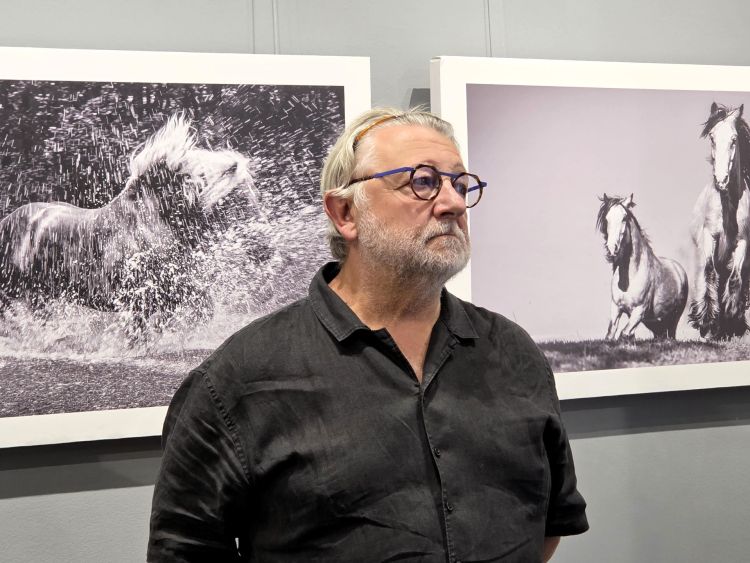 „Krótkie historie o koniach” w Rzeszowie. Fotografie Ignacego50 w Galerii Nierzeczywistej 1 - Polskie Radio Rzeszów „Krótkie historie o koniach” w Rzeszowie. Fotografie Ignacego50 w Galerii Nierzeczywistej