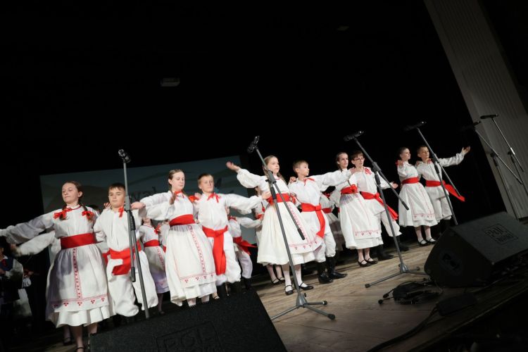 Młodzi Lasowiacy na&nbsp;scenie. Śpiew, taniec i&nbsp;muzyka w&nbsp;Sędziszowie Małopolskim