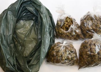 300 gramów marihuany w mieszkaniu 41-latka z Niska. Usłyszał zarzut 3 - Polskie Radio Rzeszów 300 gramów marihuany w mieszkaniu 41-latka z Niska. Usłyszał zarzut