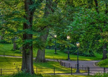 Dębica stawia na zieleń. Nowy park i inwestycje za ponad 10 mln zł 2 - Polskie Radio Rzeszów Dębica stawia na zieleń. Nowy park i inwestycje za ponad 10 mln zł