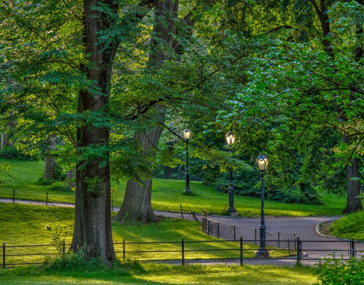 Dębica stawia na zieleń. Nowy park i inwestycje za ponad 10 mln zł 1 - Polskie Radio Rzeszów Dębica stawia na zieleń. Nowy park i inwestycje za ponad 10 mln zł