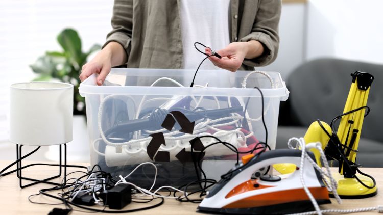 Elektryczny Las w Rzeszowie. 95 ton elektroodpadów zamieni się w drzewa 1 - Polskie Radio Rzeszów Elektryczny Las w Rzeszowie. 95 ton elektroodpadów zamieni się w drzewa