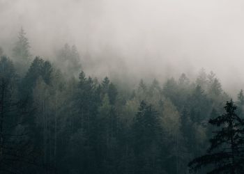 IMGW ostrzega przed gęstą mgłą na Podkarpaciu 9 - Polskie Radio Rzeszów IMGW ostrzega przed gęstą mgłą na Podkarpaciu