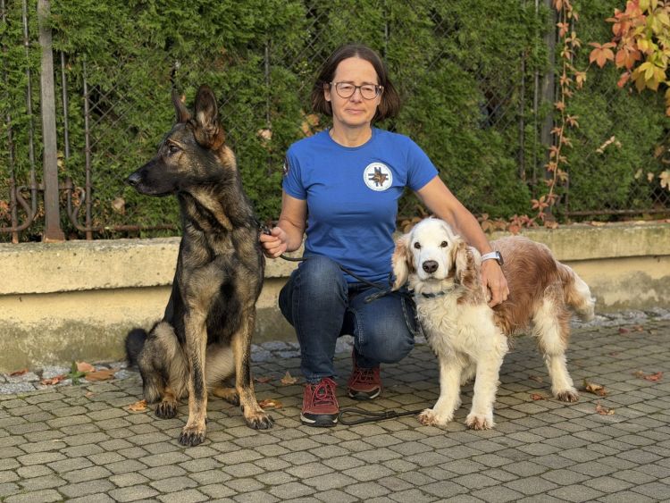 Psy ratownicze STORAT pomagają odnajdywać zaginionych. Jak wyglądają akcje poszukiwawcze? 3 - Polskie Radio Rzeszów Psy ratownicze STORAT pomagają odnajdywać zaginionych. Jak wyglądają akcje poszukiwawcze? - Polskie Radio Rzeszów