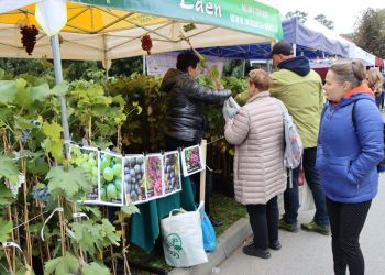 Jesienna Giełda Ogrodnicza w&nbsp;Boguchwale. Sadzonki, owoce, warzywa i&nbsp;lokalne smaki