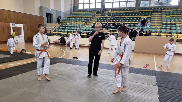Jujitsu Rzeszów Cup 2026. Zawodnicy rywalizowali na matach ROSiR-u 1 - Polskie Radio Rzeszów Jujitsu Rzeszów Cup 2026. Zawodnicy rywalizowali na matach ROSiR-u
