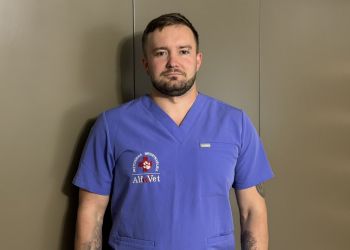 Kleszcze groźne również jesienią. Weterynarz ostrzega przed babeszjozą u psów 2 - Polskie Radio Rzeszów Kleszcze groźne również jesienią. Weterynarz ostrzega przed babeszjozą u psów