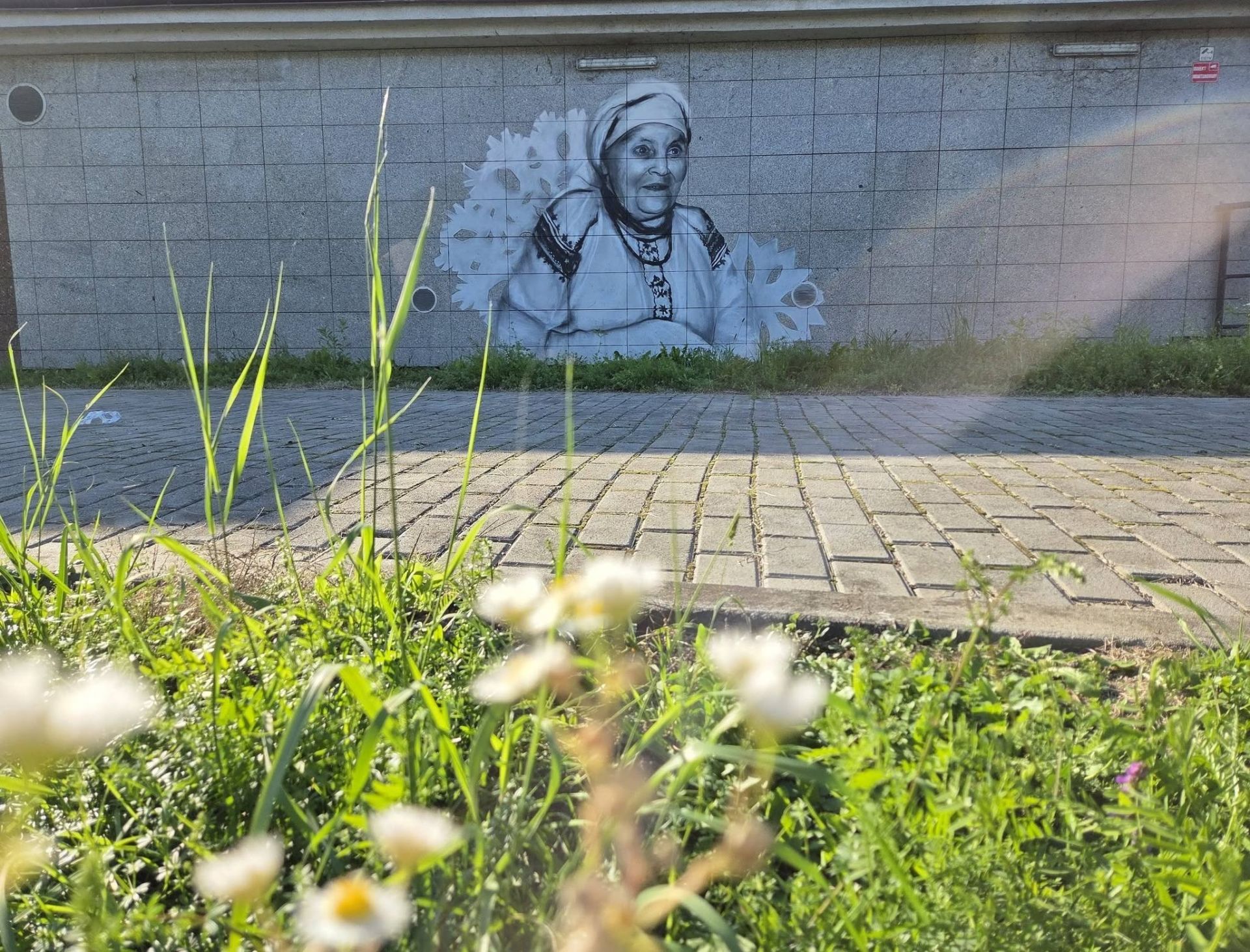 Mural Marii Kozłowej w Tarnobrzegu odnowiony. Dwukrotnie padł ofiarą wandalizmu - Polskie Radio Rzeszów