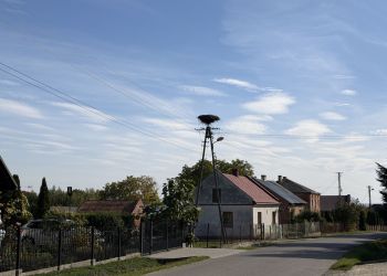 Od&nbsp;tygodni walczą o&nbsp;ratunek dla bociana. Interwencja Polskiego Radia Rzeszów w&nbsp;Grochowcach